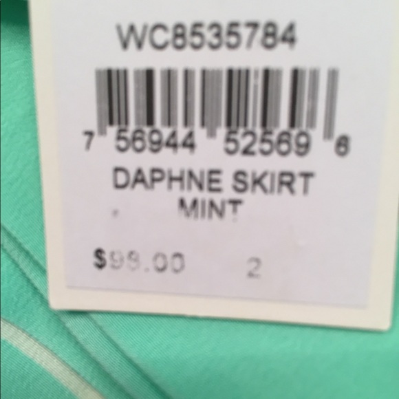 Fossil Daphne Mint & White Stripe Silk Skirt Sz 2 - Picture 4 of 6